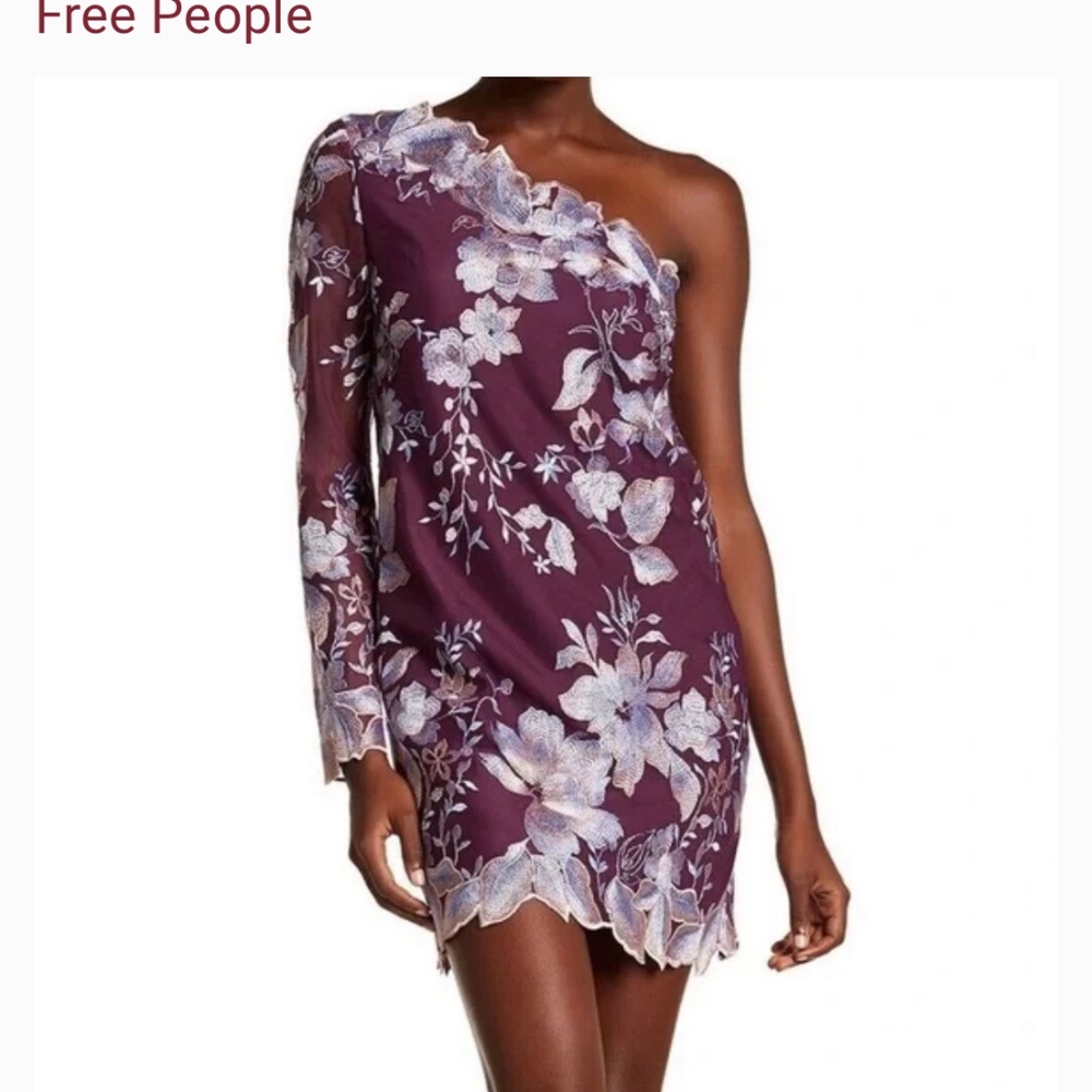 FP Rosalie Embroidered Mini Dress Sz 2